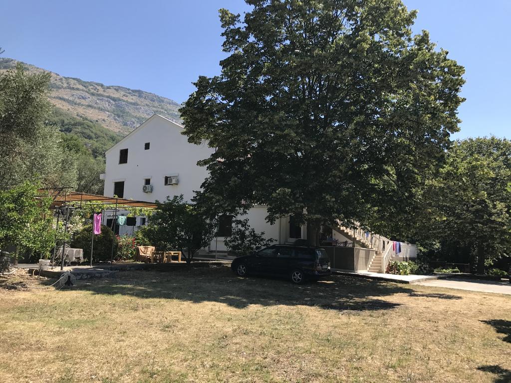PetrovacVuko I Magdalena Midzor公寓 外观 照片